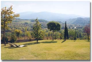 garden.jpg (12764 byte)